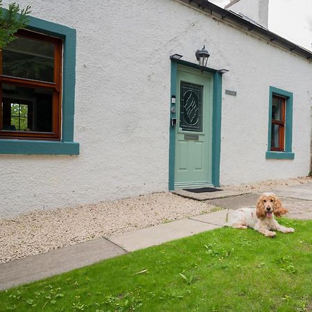 Tig Cottage - A Rural, Quirky, Pet Friendly 2 Bedroom Cottage Near Ballantrae 외부 사진