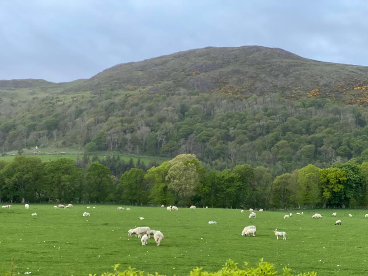 Tig Cottage - A Rural, Quirky, Pet Friendly 2 Bedroom Cottage Near Ballantrae 외부 사진