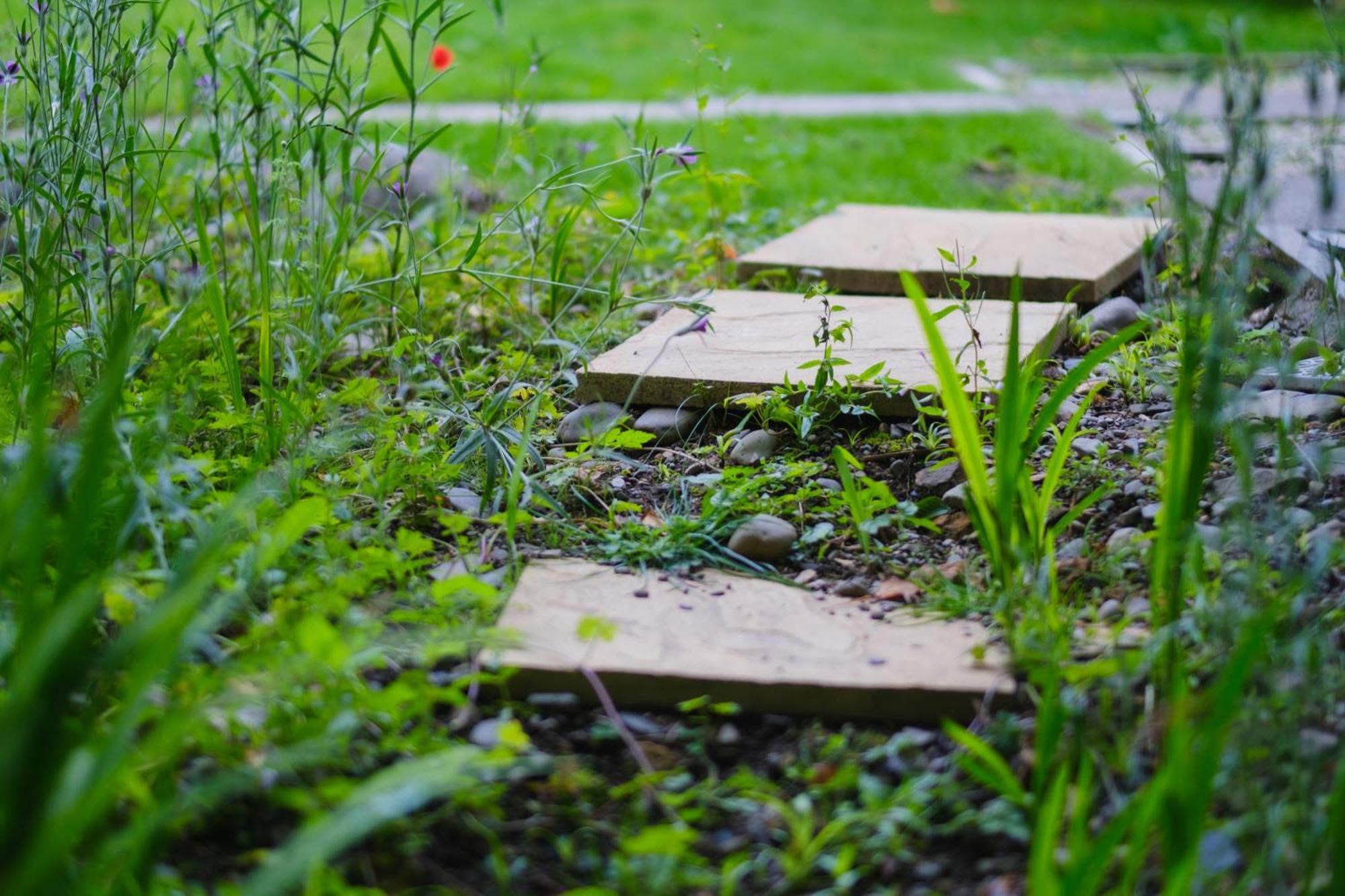 Tig Cottage - A Rural, Quirky, Pet Friendly 2 Bedroom Cottage Near Ballantrae 외부 사진