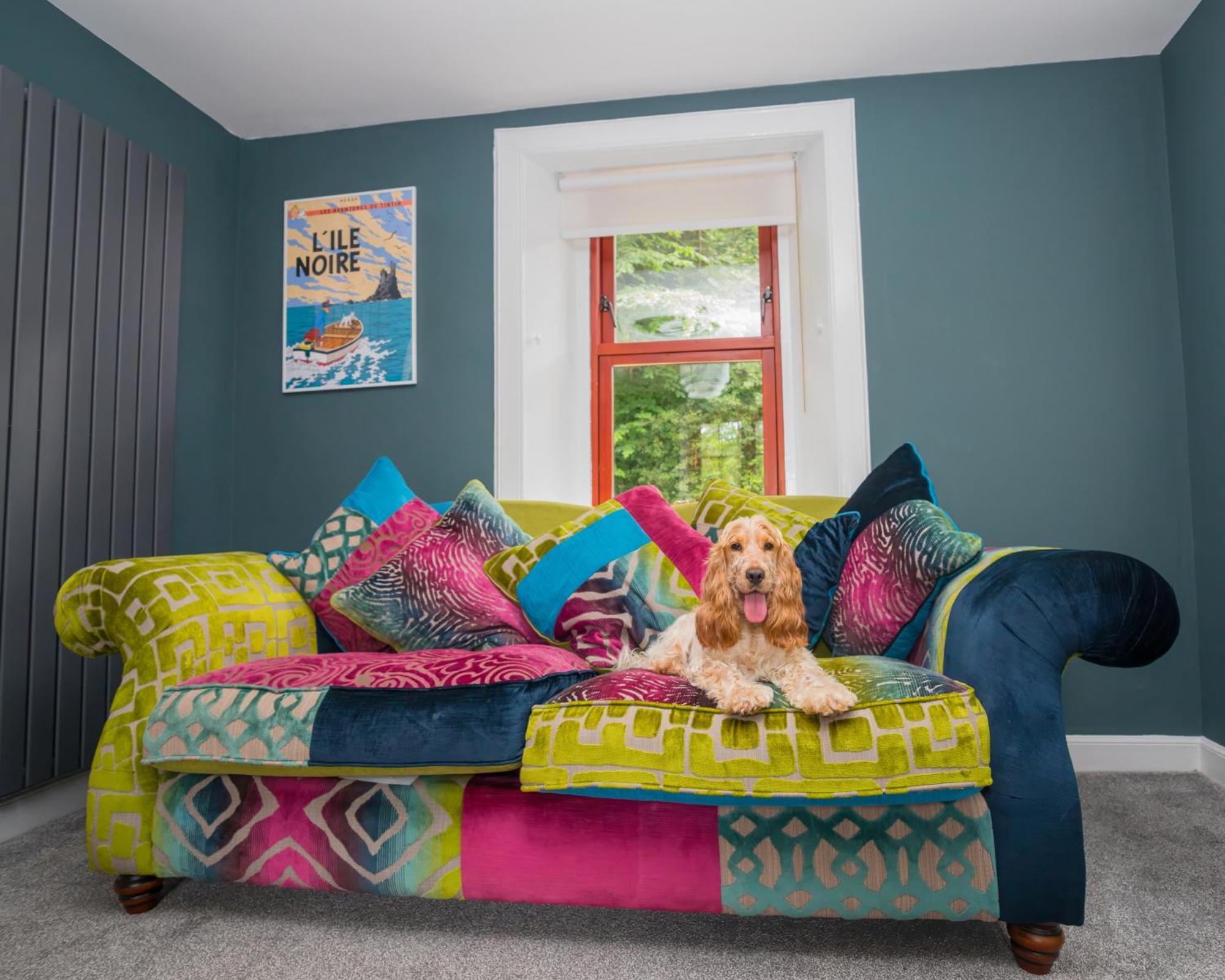 Tig Cottage - A Rural, Quirky, Pet Friendly 2 Bedroom Cottage Near Ballantrae 외부 사진